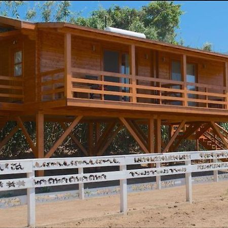 Equestrian And Beach Club Bodrum Exterior photo